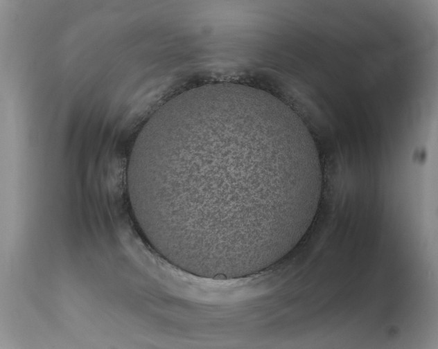 X0000112110034200908111452