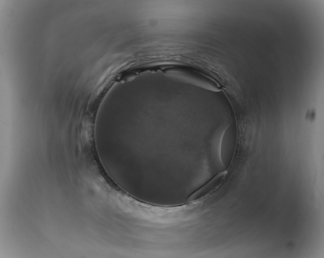 X0000112110035200908111452