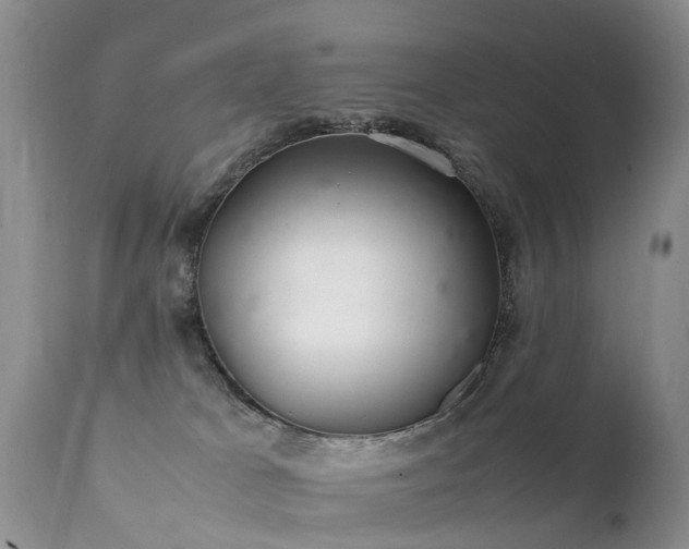 X0000112110037200908111452