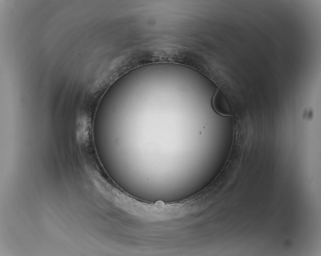 X0000112110038200908111452