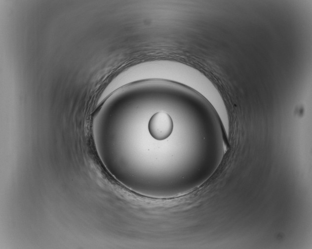 X0000112110039200908111452