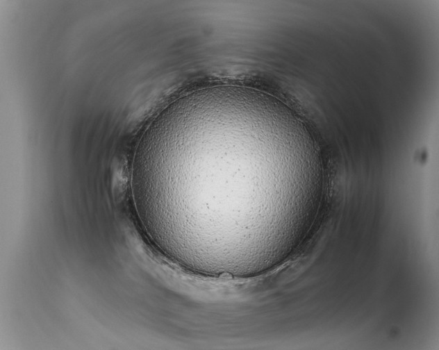 X0000112110040200908111452