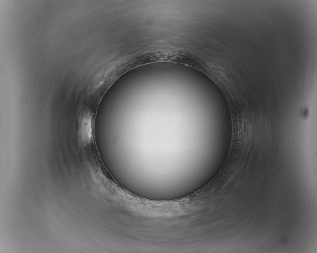 X0000112110042200908111452