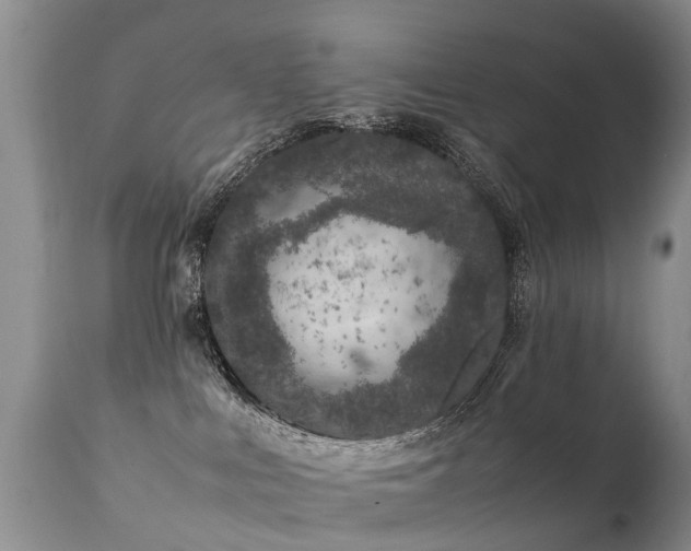 X0000112110043200908111452