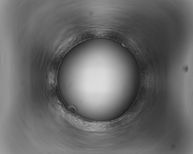 X0000112110044200908111452