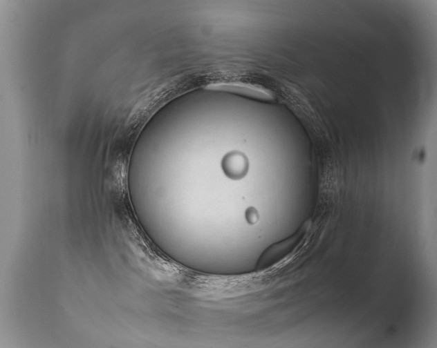 X0000112110045200908111452