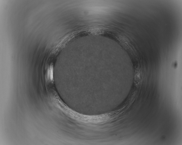 X0000112110046200908111452