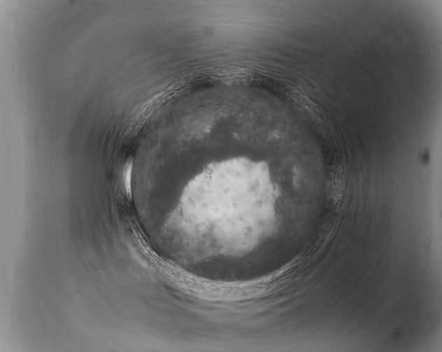 X0000112110047200908111452