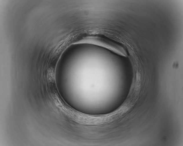 X0000112110048200908111452