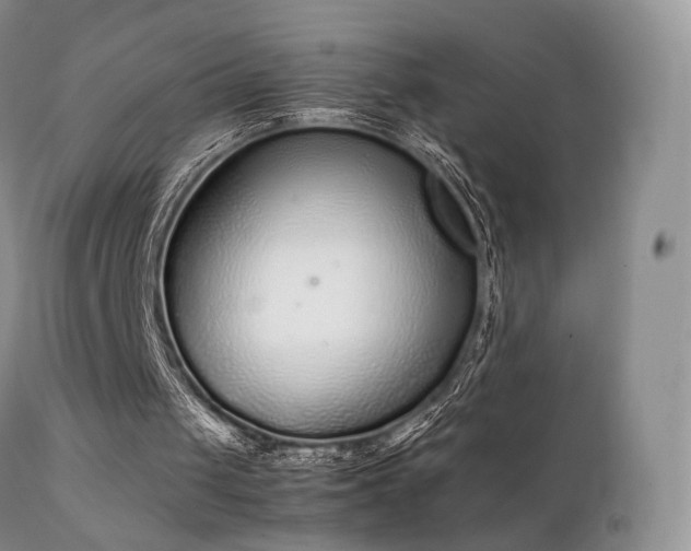 X0000112110049200908111452