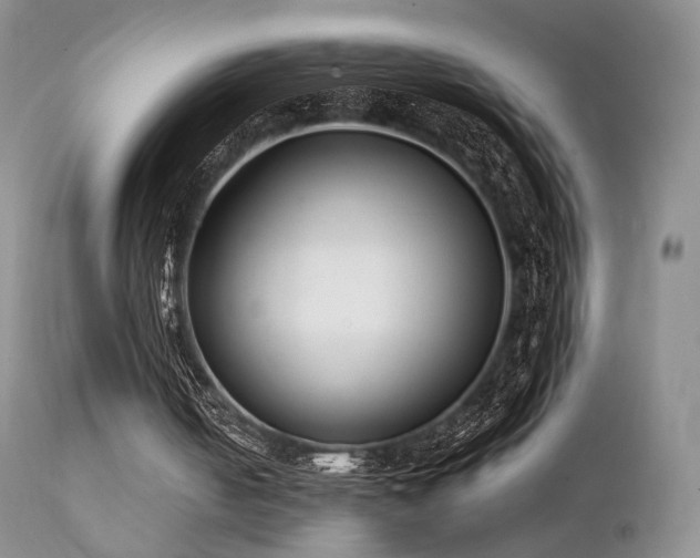 X0000112110050200908111452