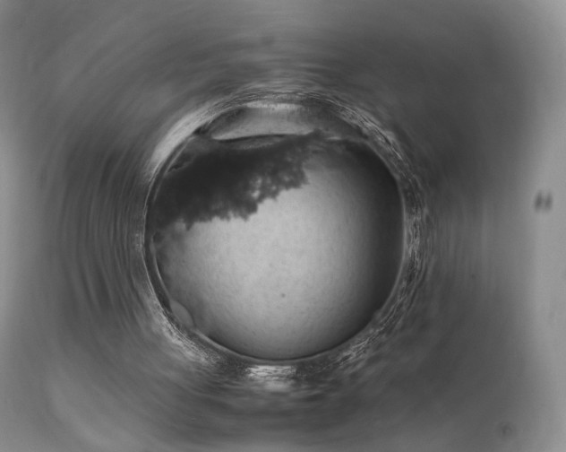 X0000112110051200908111452