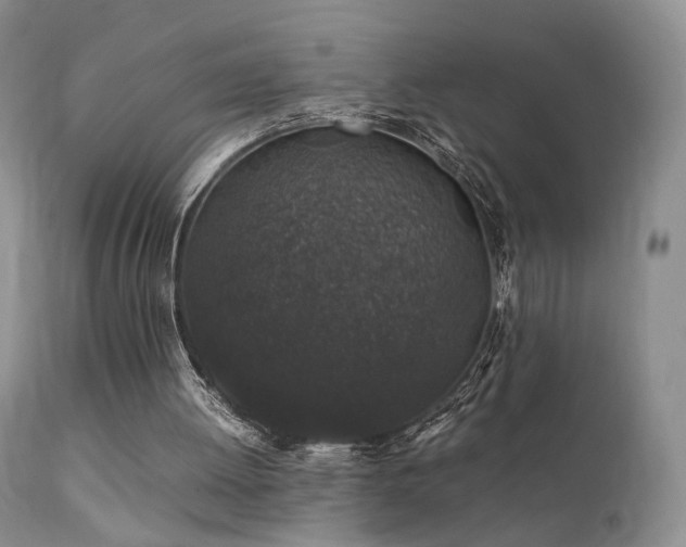 X0000112110052200908111452