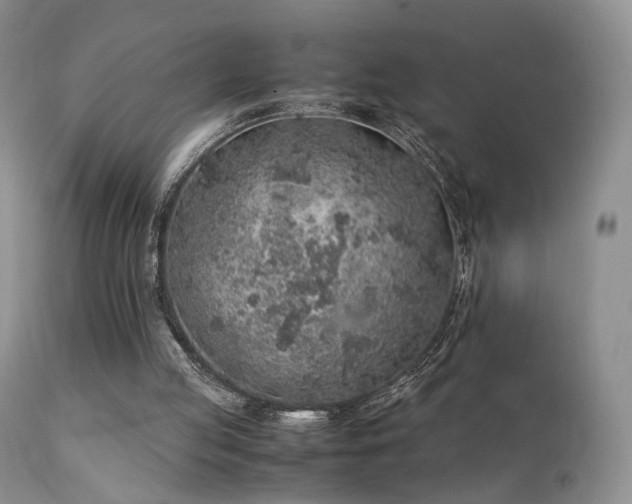 X0000112110053200908111452