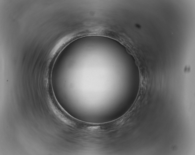 X0000112110054200908111452