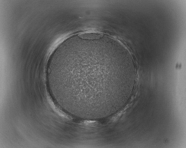 X0000112110055200908111452