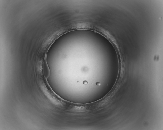 X0000112110057200908111452