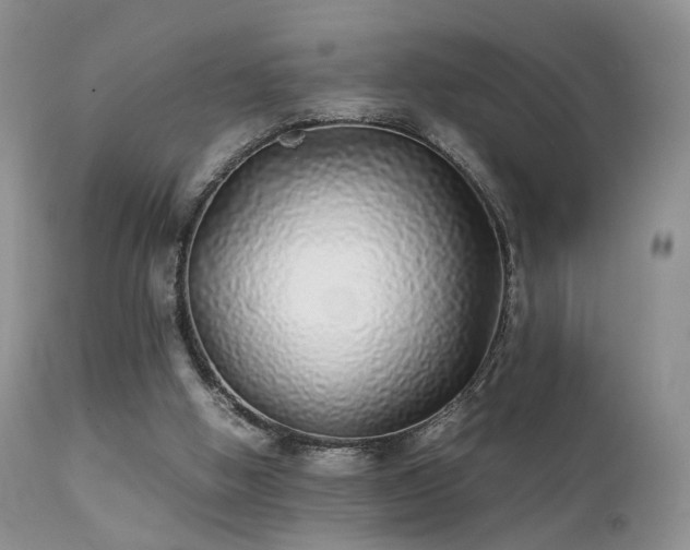 X0000112110058200908111452