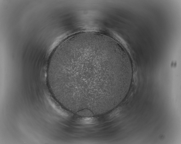 X0000112110059200908111452