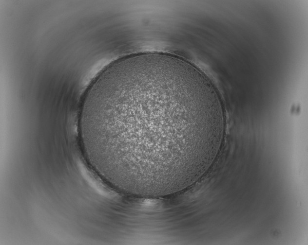 X0000112110060200908111452