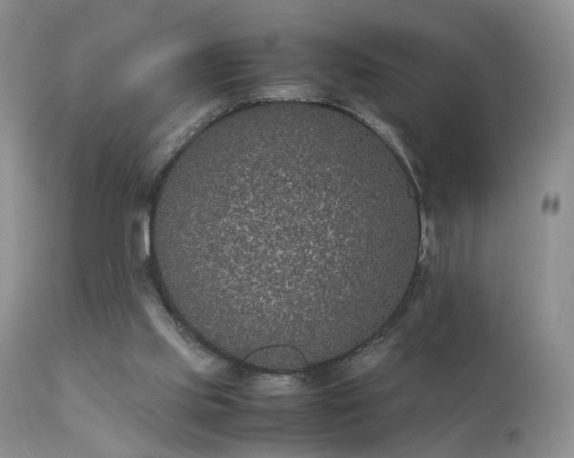 X0000112110061200908111452