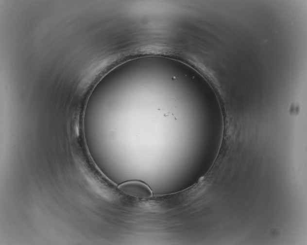 X0000112110062200908111452