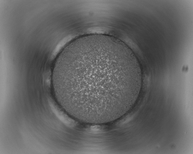 X0000112110064200908111452