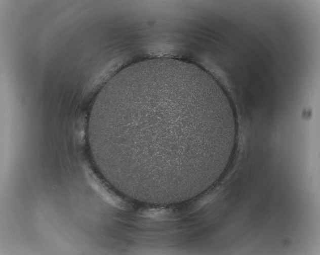 X0000112110065200908111452