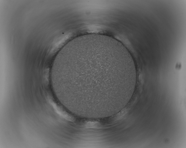 X0000112110066200908111452