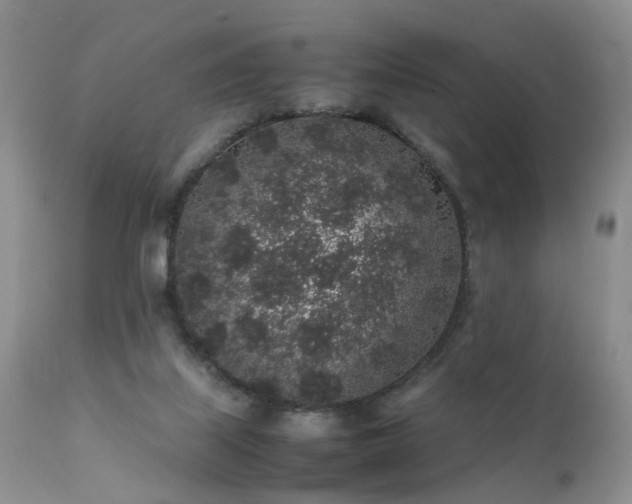 X0000112110067200908111452