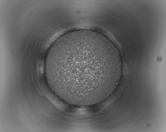 X0000112110068200908111452