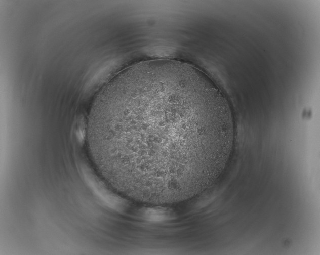 X0000112110069200908111452