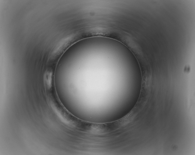 X0000112110070200908111452