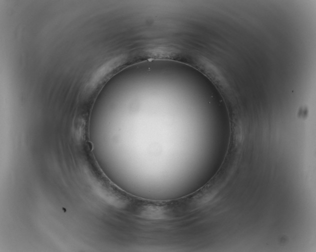 X0000112110071200908111452