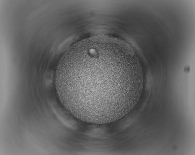 X0000112110073200908111452