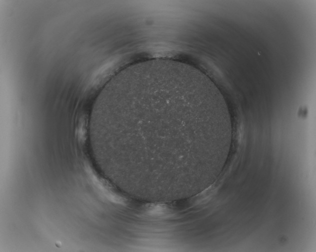 X0000112110074200908111452