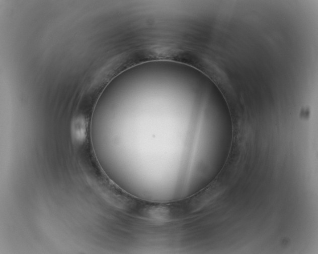 X0000112110075200908111452