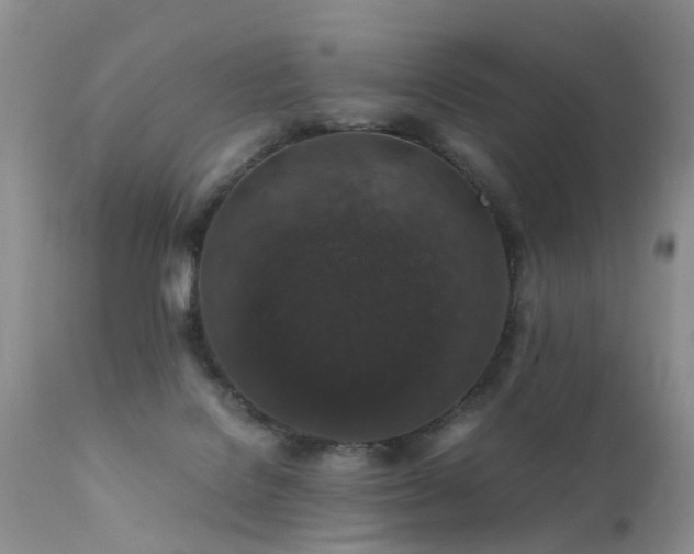 X0000112110076200908111452