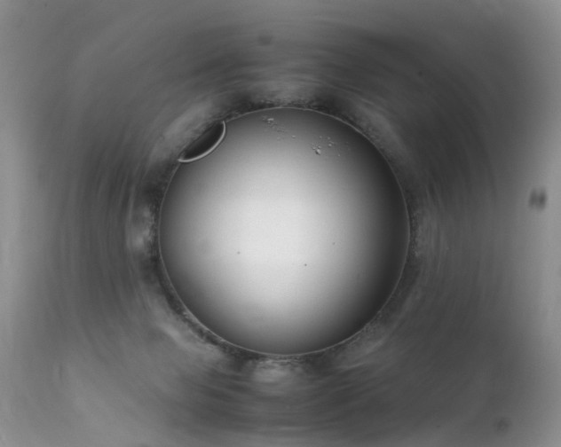 X0000112110077200908111452