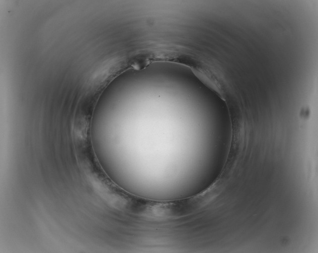 X0000112110078200908111452