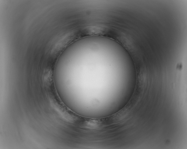 X0000112110079200908111452