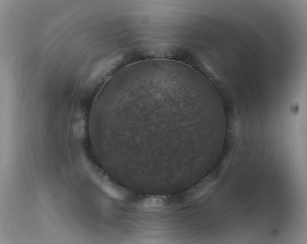 X0000112110080200908111452