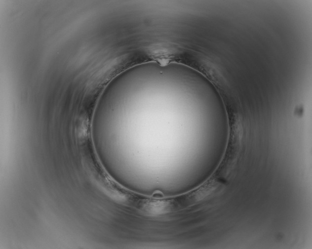 X0000112110081200908111452