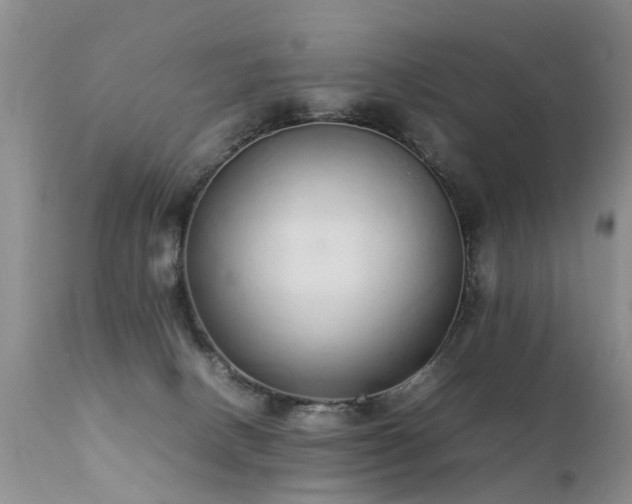 X0000112110082200908111452