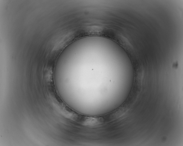 X0000112110083200908111452