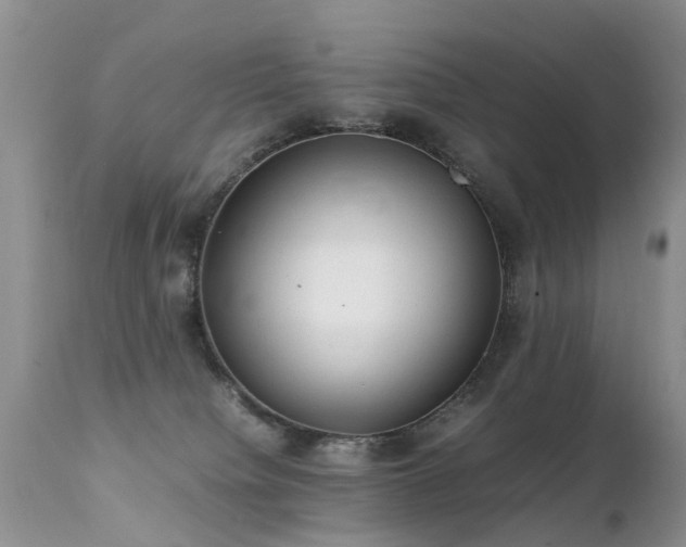 X0000112110084200908111452