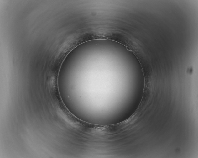 X0000112110086200908111452