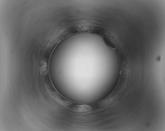 X0000112110087200908111452