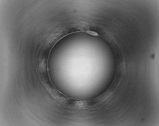 X0000112110088200908111452