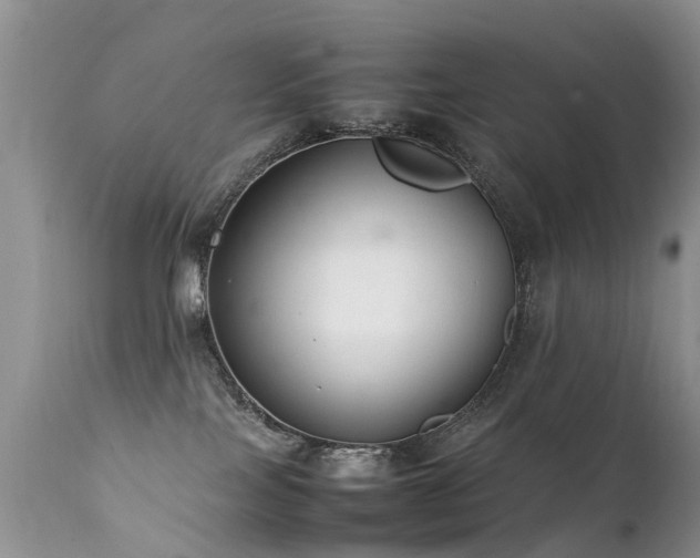 X0000112110089200908111452